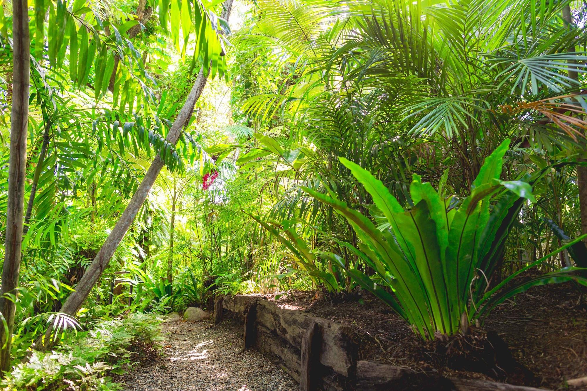 Cairns Colonial Club Resort Екстер'єр фото
