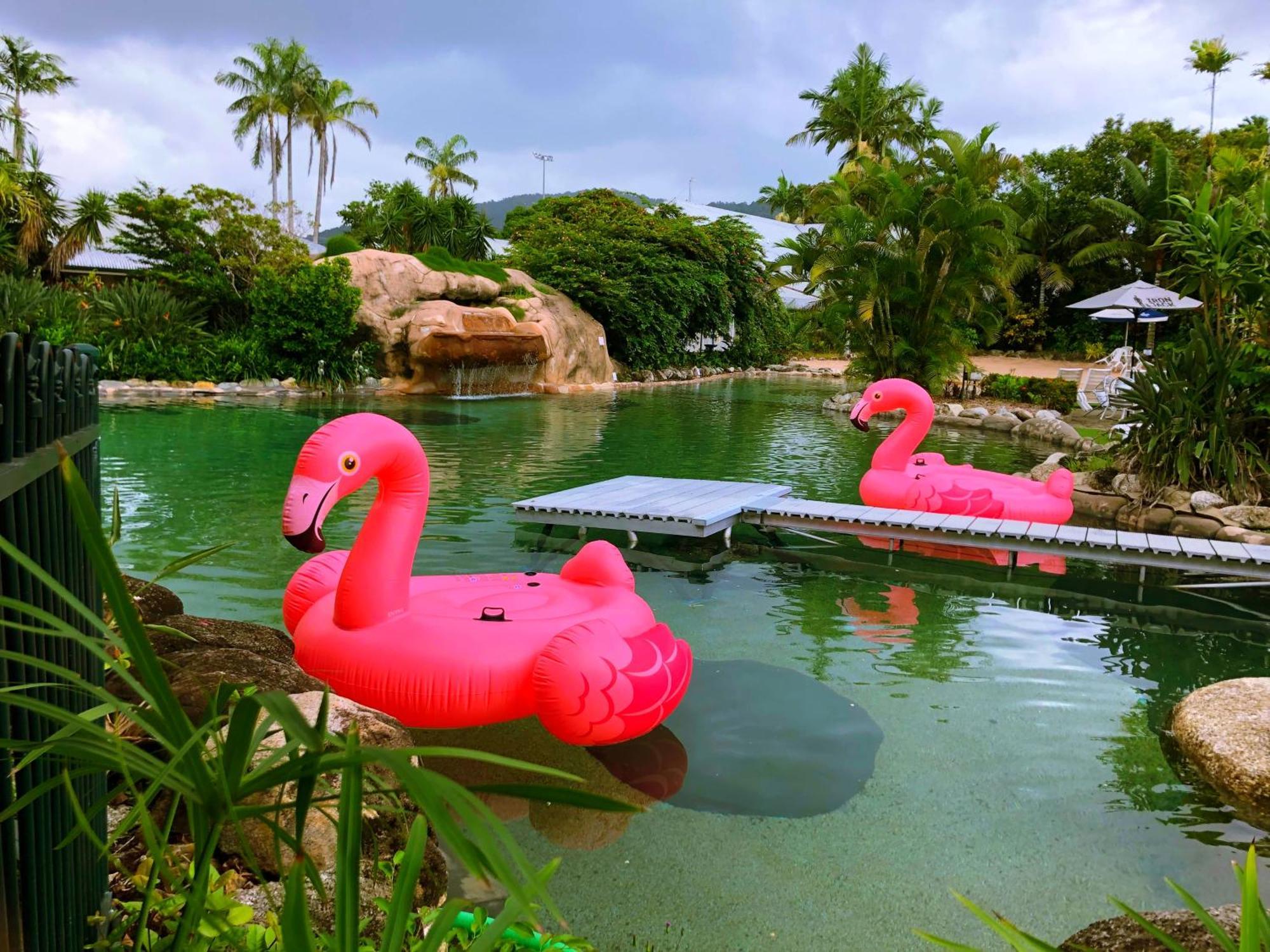 Cairns Colonial Club Resort Екстер'єр фото